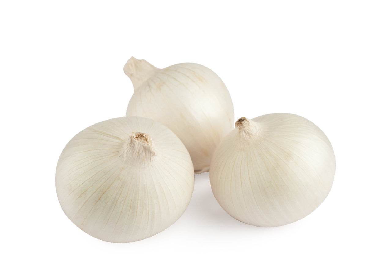 Cebolla Blanca – CARNICERÍA LOS CORRALES